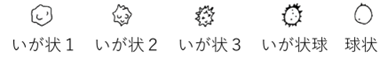 図1　本研究で使用した血球形状分類